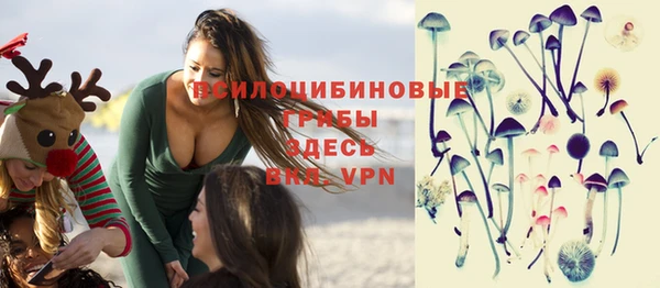 хмурый Кукмор