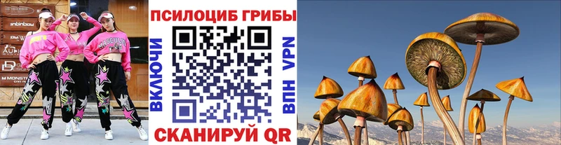 Купить Белозерск Псилоцибиновые грибы Psilocybe